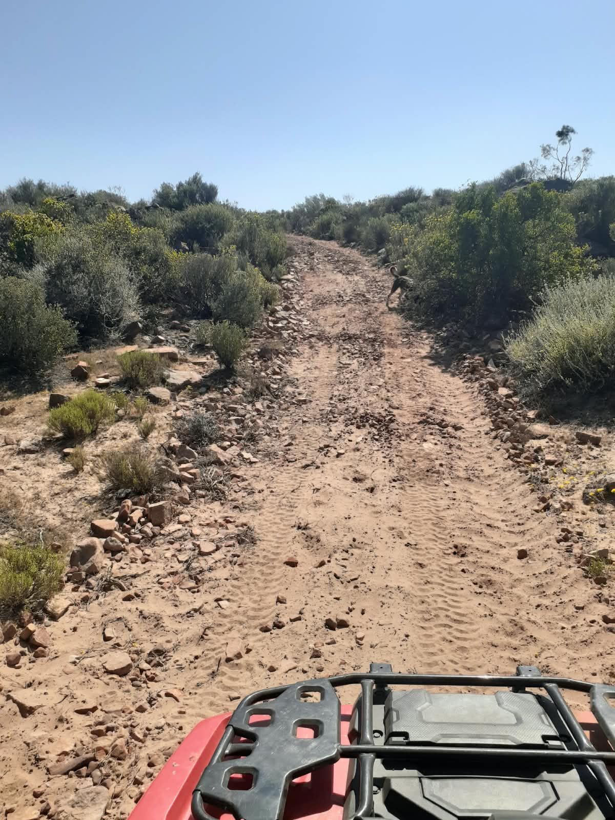 Purple Route Loop — photo 1