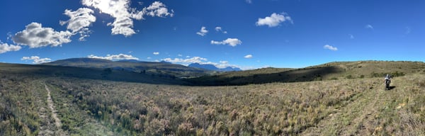 Adamel Wild Camp — photo 3