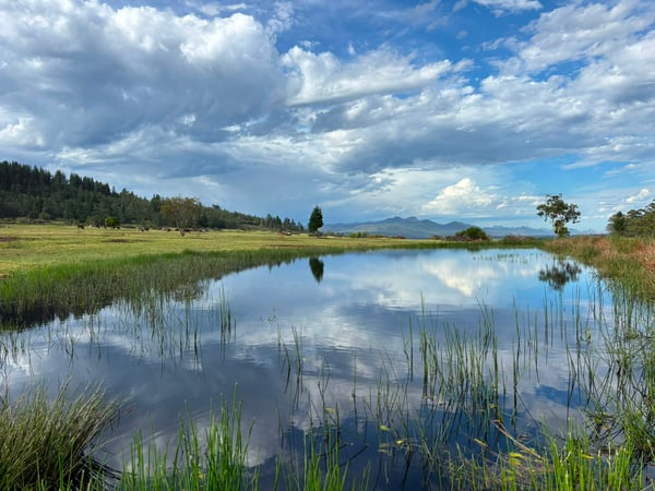 Valley View Ranch