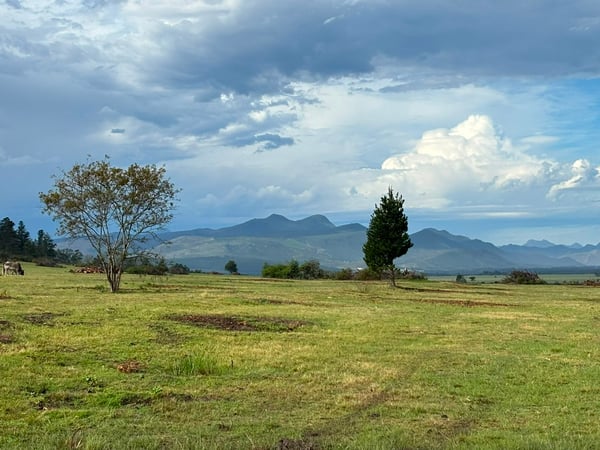 Valley View Ranch — photo 5