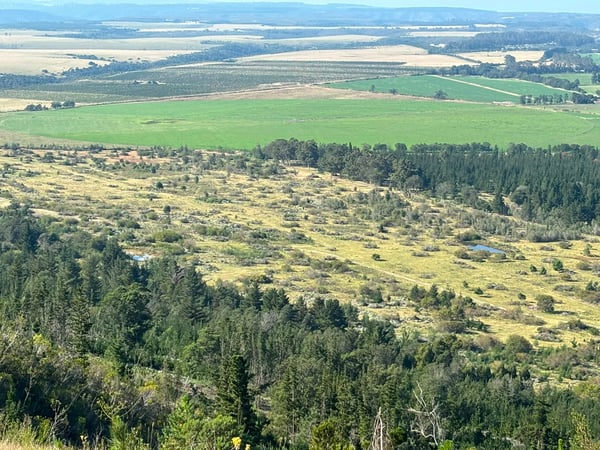 Valley View Ranch — photo 2