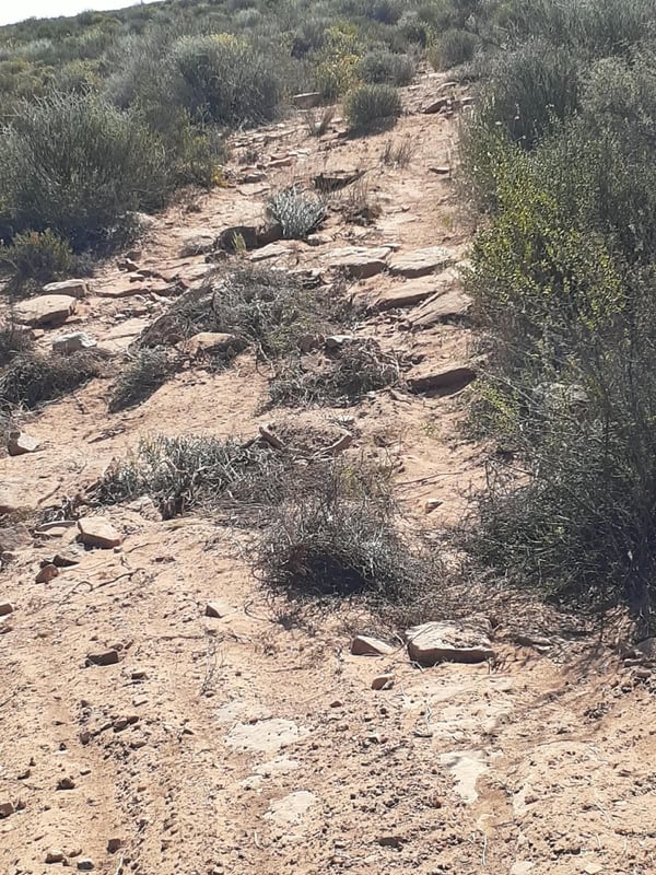 Blue Route Loop — photo 7