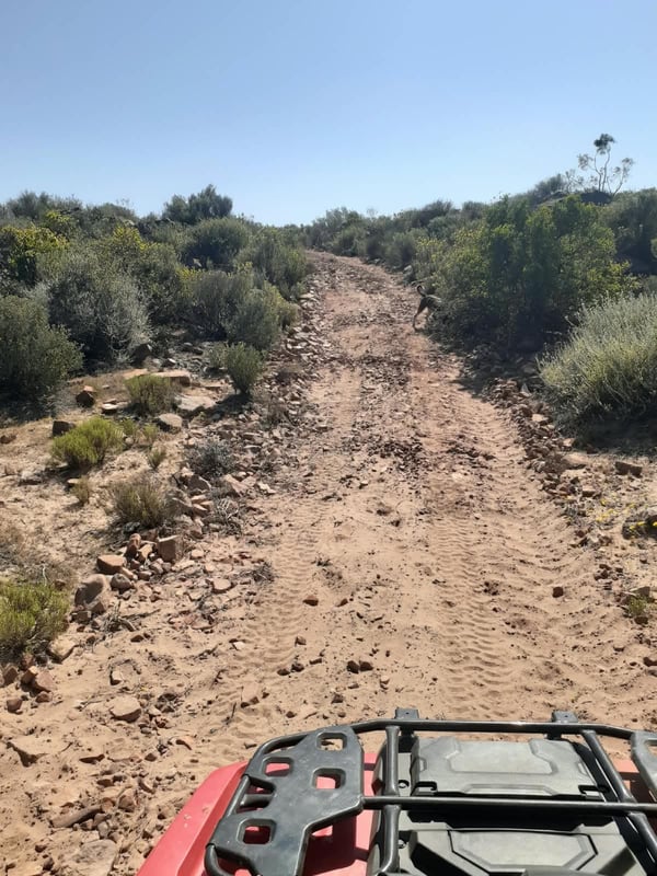 Purple Route Loop — photo 1