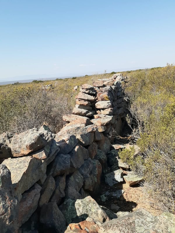 Purple Route Loop — photo 5