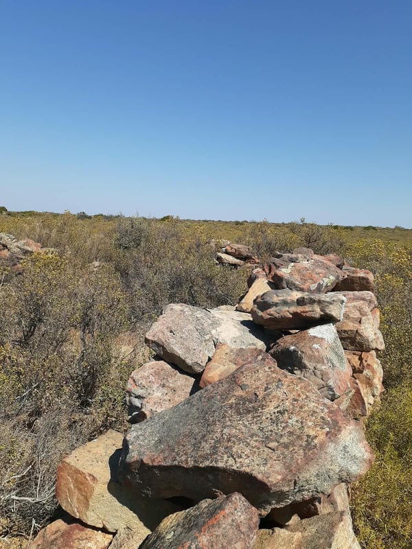 Purple Route Loop — photo 3
