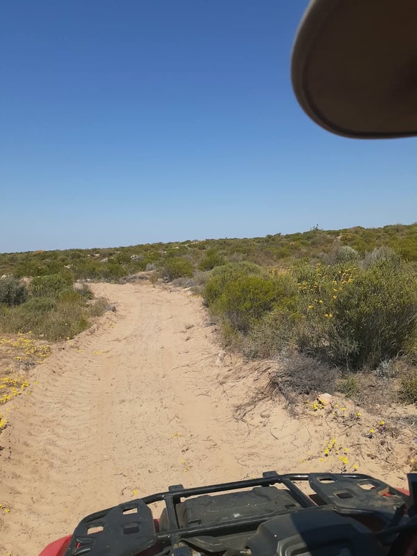 Purple Route Loop — photo 2