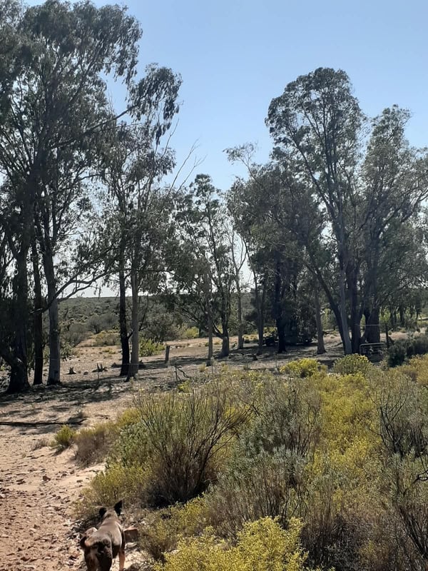 Green Route Traverse — photo 1