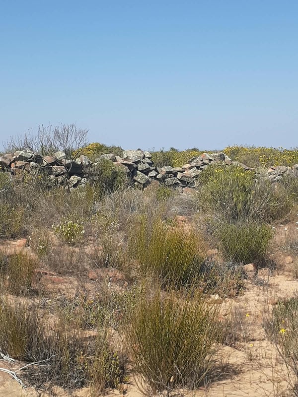 Green Route Traverse — photo 2