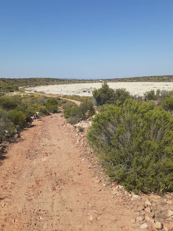Green Route Traverse — photo 3
