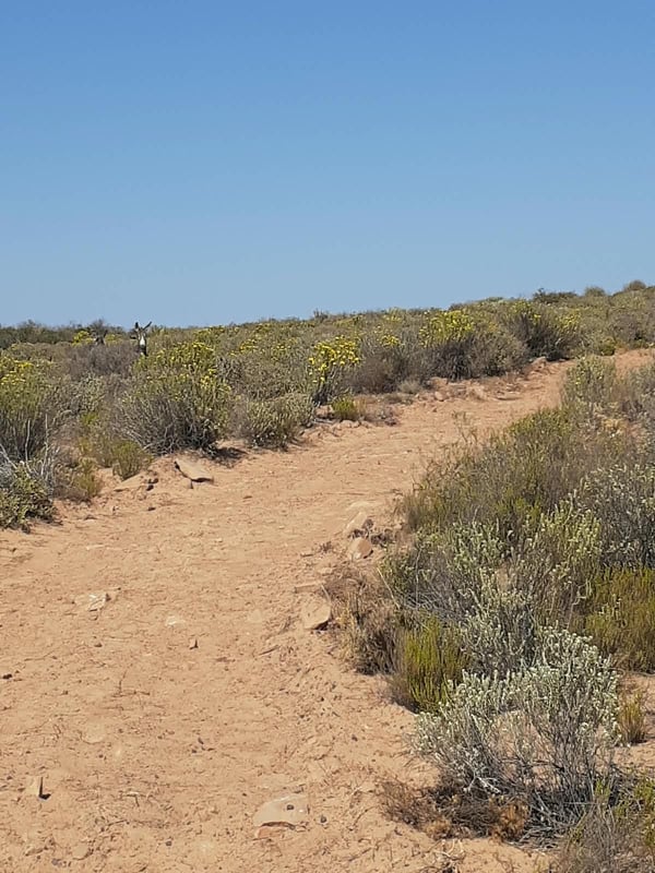 Yellow Route Loop — photo 7