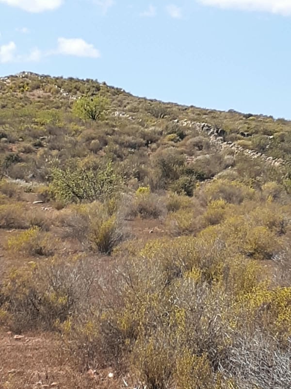 Yellow Route Loop — photo 9