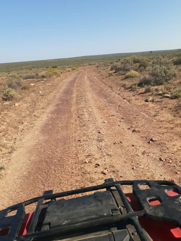 Yellow Route Loop — photo 3