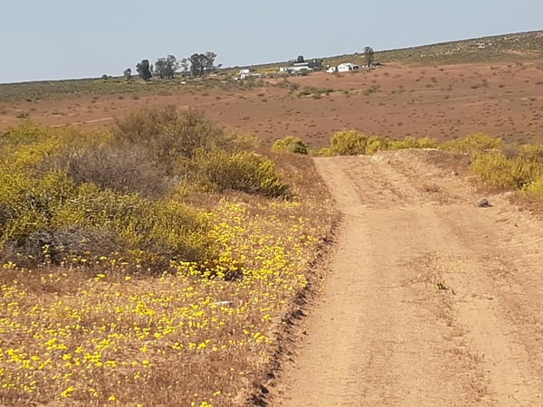 Yellow Route Loop — photo 10
