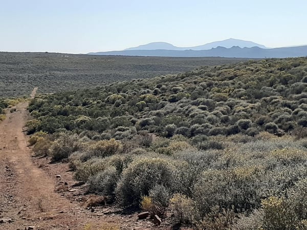 Yellow Route Loop — photo 4